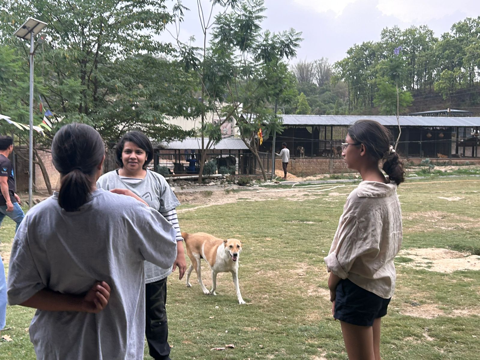 intro to animal communication